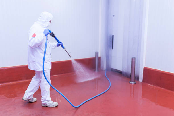 Professional Pressure Washing Services in Dunedin, FL