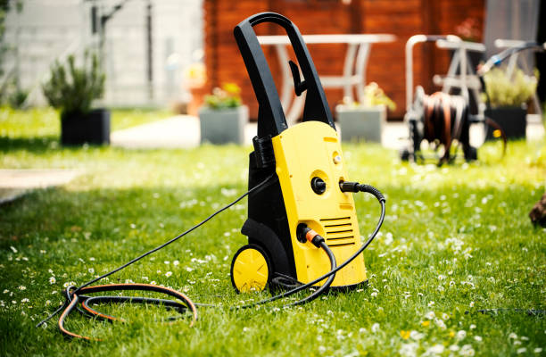 Best Rust Removal  in Dunedin, FL